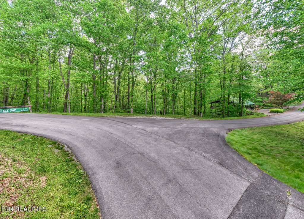 Photo of Ace Gap Rd, Townsend, TN 37882 (MLS # 1300925)