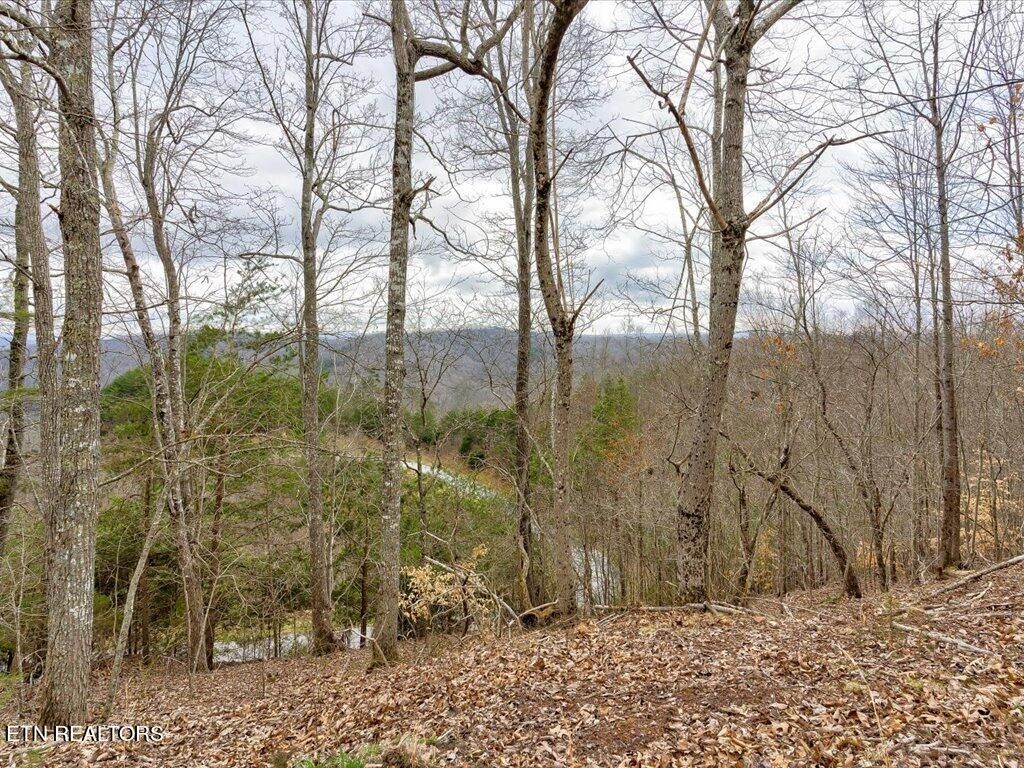 Photo of 811 Creekside Drive, New Tazewell, TN 37825 (MLS # 1248766)