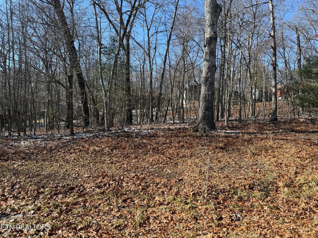 Photo of 116 Kings Down Drive, Crossville, TN 38558 (MLS # 1327864)