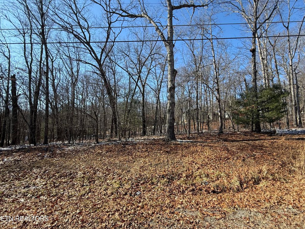 Photo of 116 Kings Down Drive, Crossville, TN 38558 (MLS # 1327864)