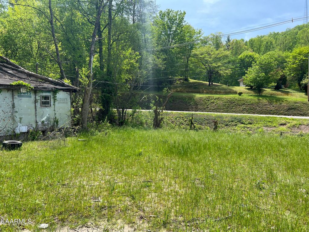 Photo of 428 E Spring St, Oliver Springs, TN 37840 (MLS # 1224878)