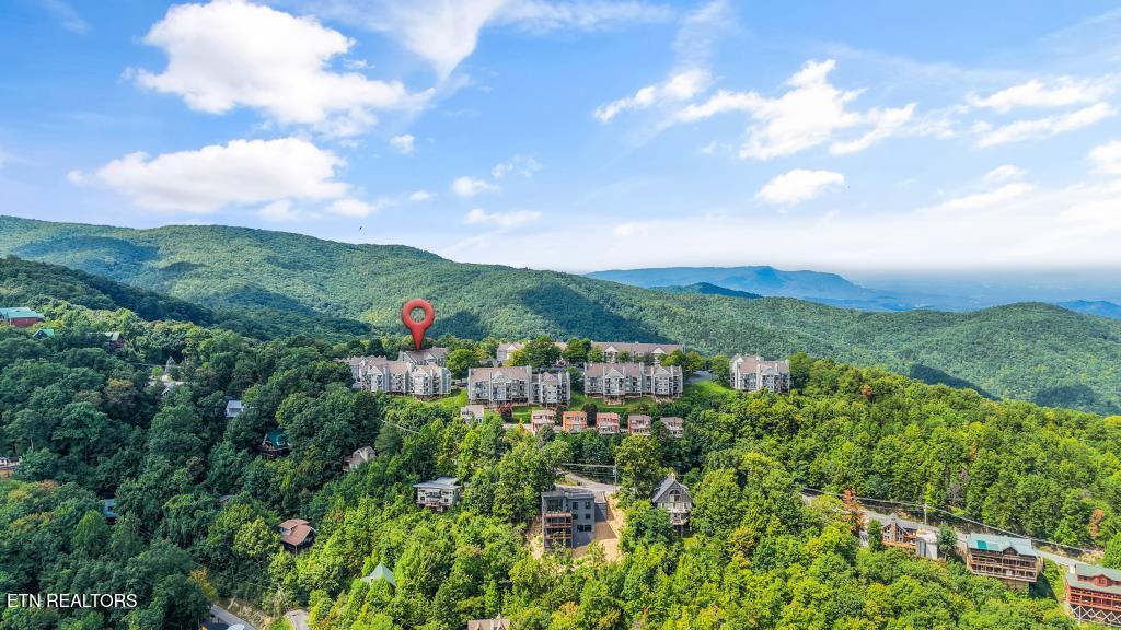 1260 Ski View Drive 3202