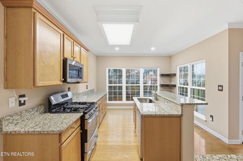 Tiny photo for 1505 Bailey Park Lane, Knoxville, TN 37922 (MLS # 1338053)