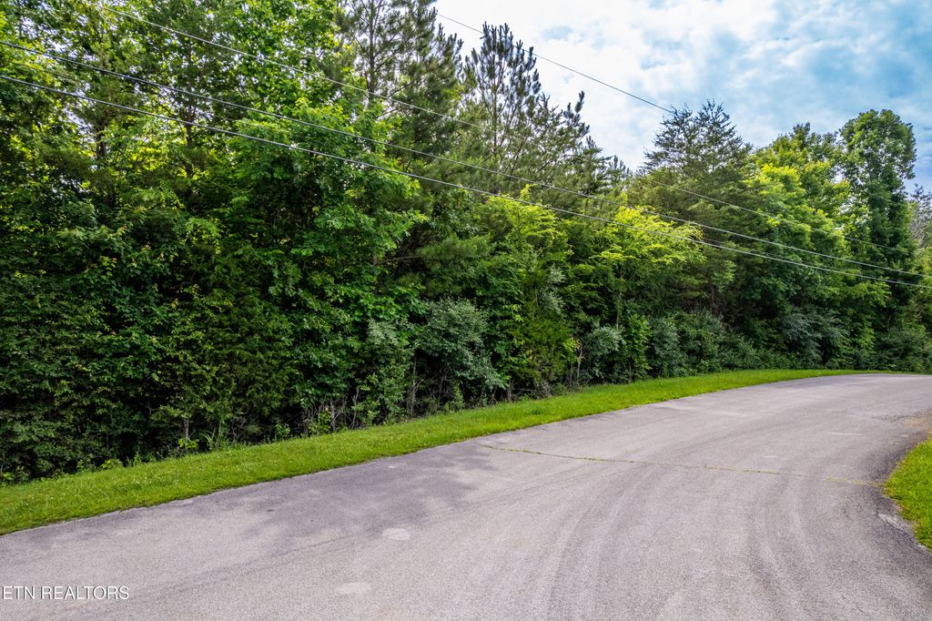 Photo of Deer Run &amp; Wolfe Trail, Vonore, TN 37885 (MLS # 1302412)