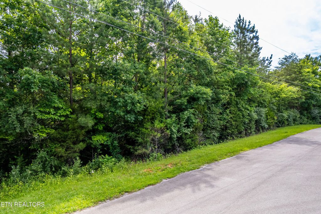 Photo of Deer Run &amp; Wolfe Trail, Vonore, TN 37885 (MLS # 1302412)