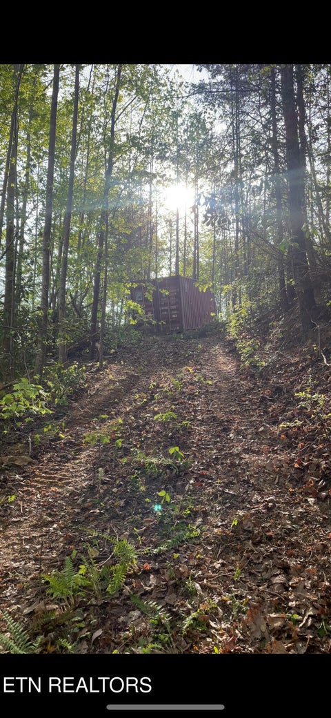 Tiny photo for Country Cove Way, Cosby, TN 37722 (MLS # 1352133)