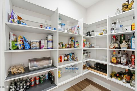 Tiny photo for 3462 Persimmon Rdg Rdg, Loudon, TN 37774 (MLS # 1326823)