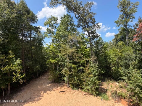 Tiny photo for 141 Mistletoeberry Rd #Lot 406, Oak Ridge, TN 37830 (MLS # 1345253)