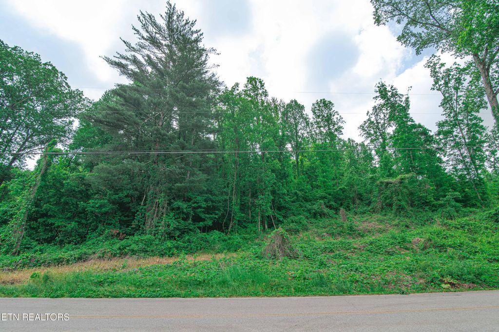 Photo of 523 Mahoney Rd, Oliver Springs, TN 37840 (MLS # 1301406)