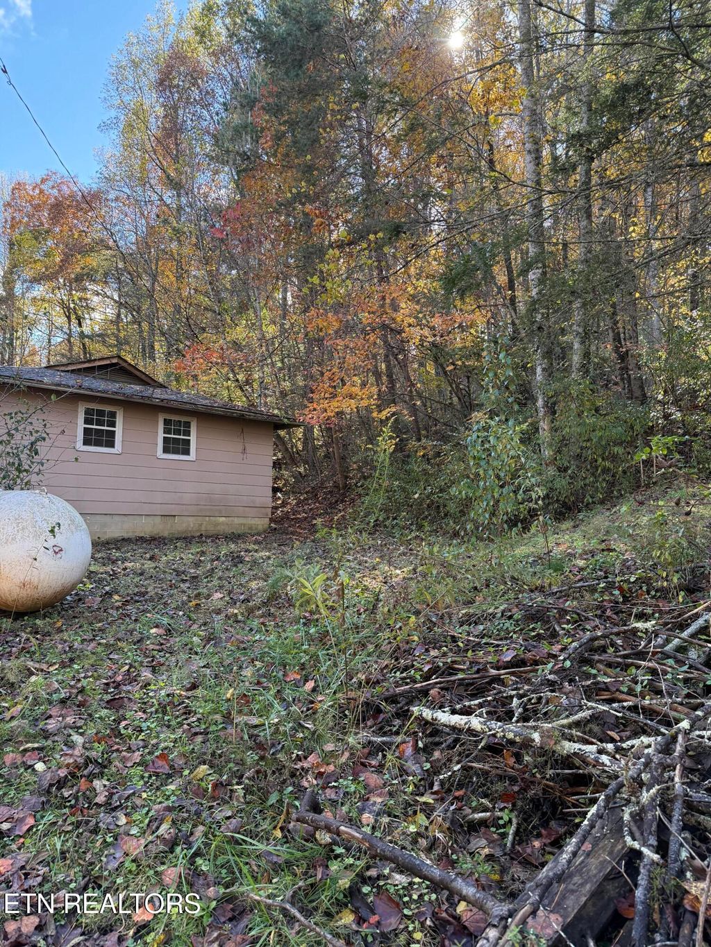 Photo of 1107 Catoosa Rd. Rd, Wartburg, TN 37887 (MLS # 1320770)