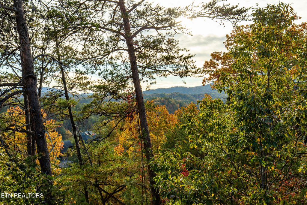 Photo of 2024 Cougar Crossing Way, Sevierville, TN 37876 (MLS # 1336221)