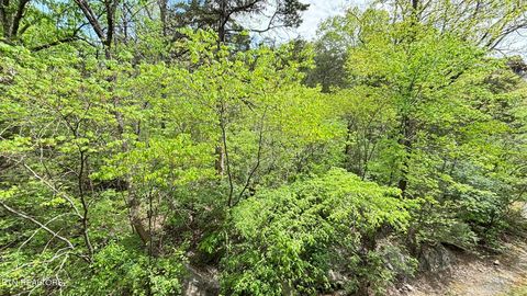 Tiny photo for 225 Collier Drive #1313, Sevierville, TN 37862 (MLS # 1337321)