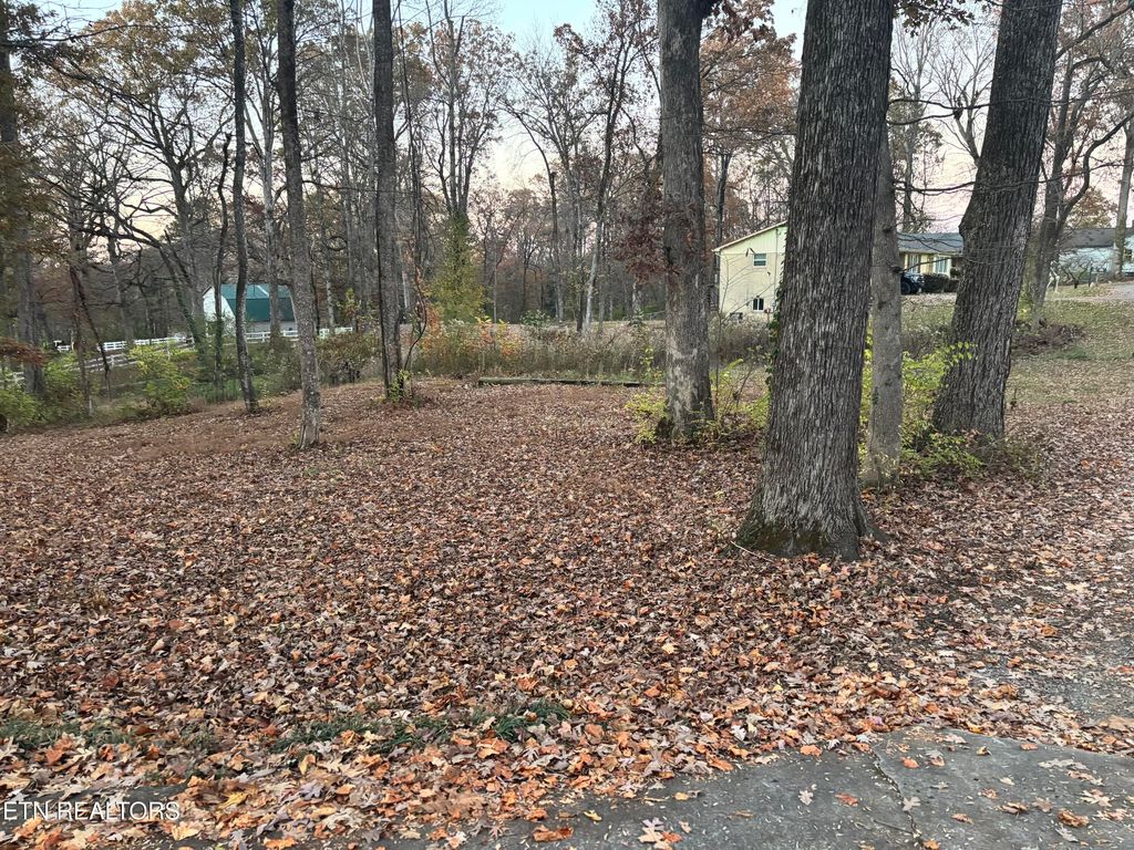 Photo of 205 Ridge Rd, Maryville, TN 37803 (MLS # 1321891)