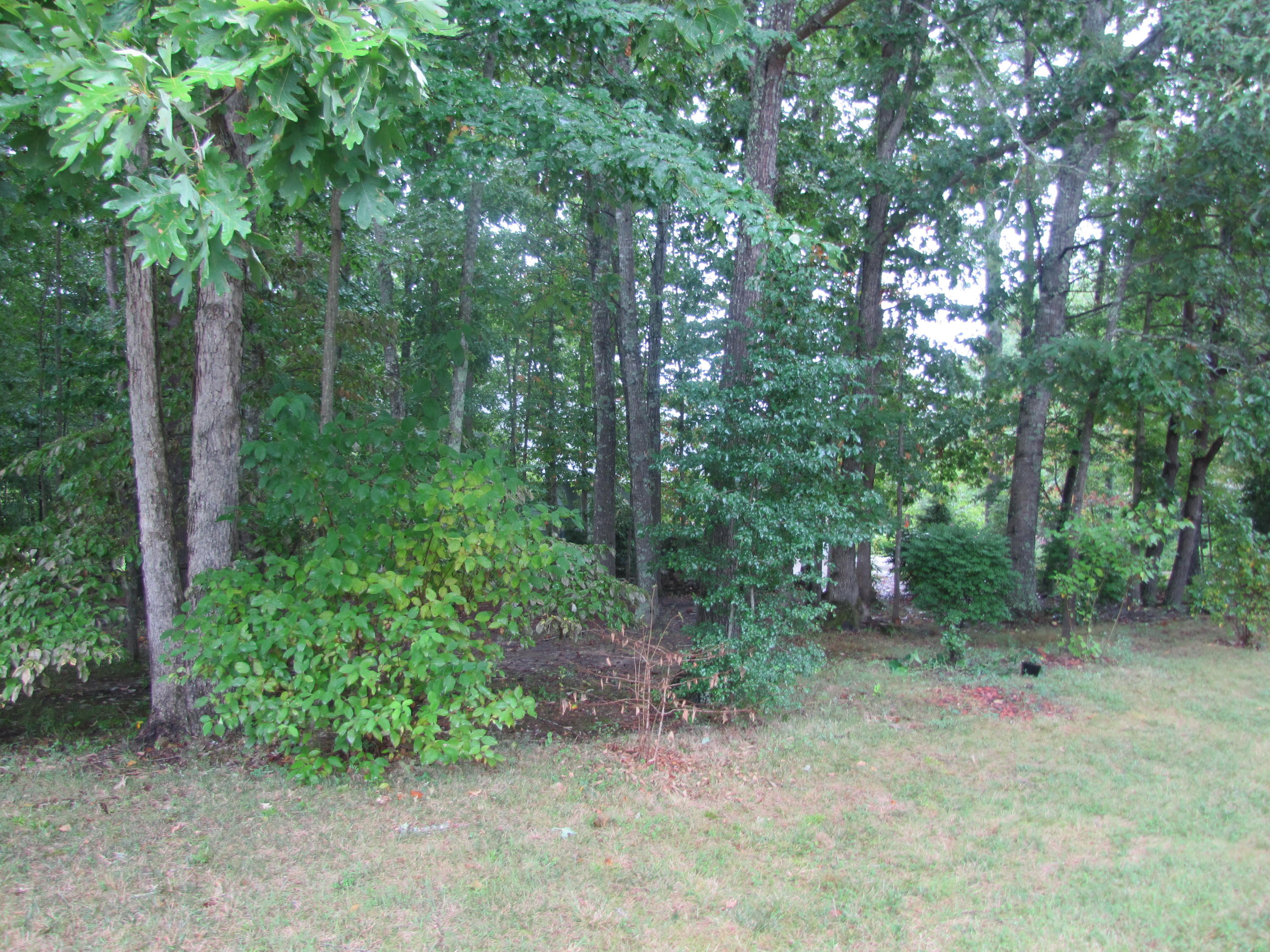Photo 1 of 8 — 136 Cappshire Rd, Fairfield Glade, TN 38558