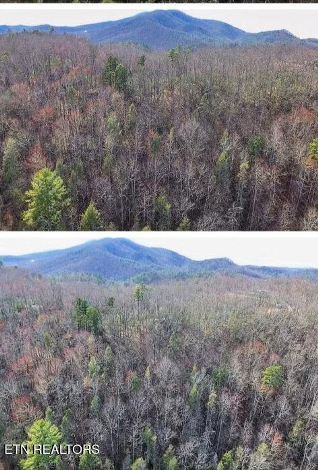 Photo of E Balls Hollow Rd, Cosby, TN 37722 (MLS # 1301142)