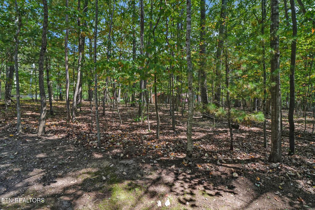 Photo of 19 Trafalgar Lane, Crossville, TN 38558 (MLS # 1315971)