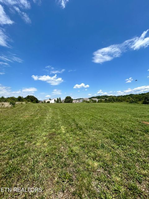 Tiny photo for 11730 Chapman Hwy, Seymour, TN 37865 (MLS # 1340963)