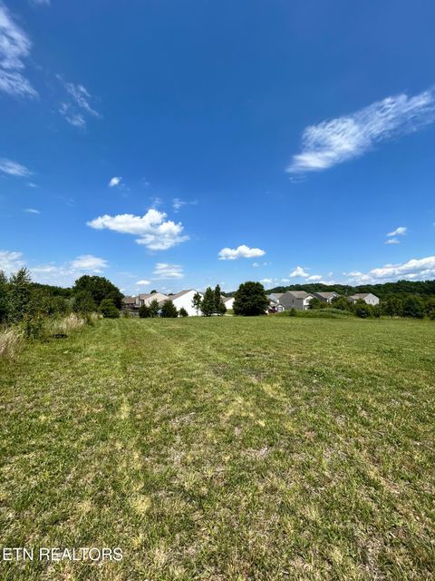 Tiny photo for 11730 Chapman Hwy, Seymour, TN 37865 (MLS # 1340963)