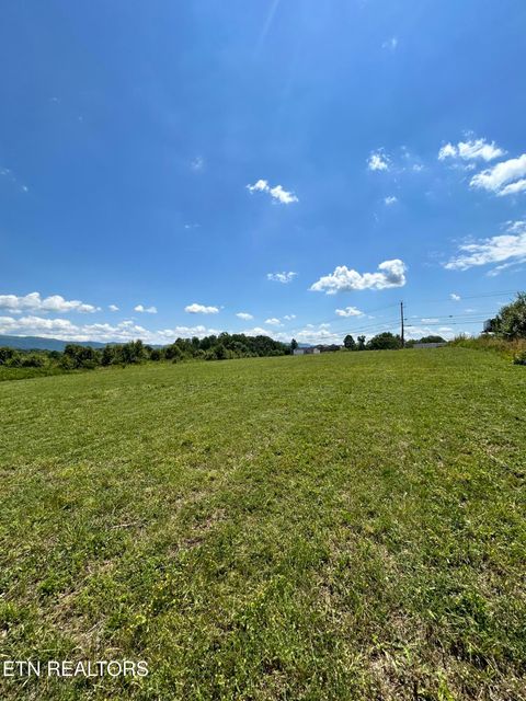 Tiny photo for 11730 Chapman Hwy, Seymour, TN 37865 (MLS # 1340963)