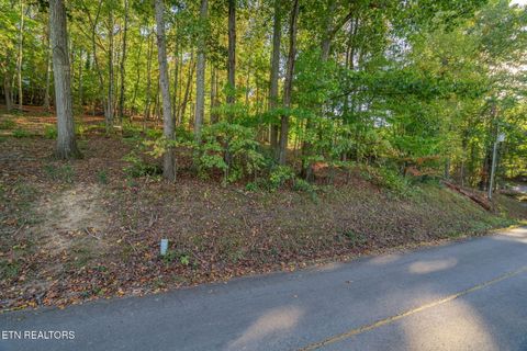 Tiny photo for Lakewood Rd, Kingston, TN 37763 (MLS # 1319120)
