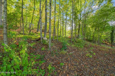 Tiny photo for Lakewood Rd, Kingston, TN 37763 (MLS # 1319120)