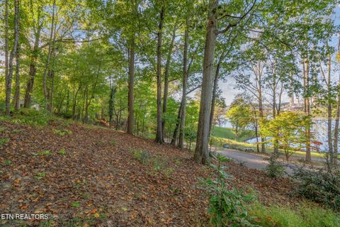 Tiny photo for Lakewood Rd, Kingston, TN 37763 (MLS # 1319120)
