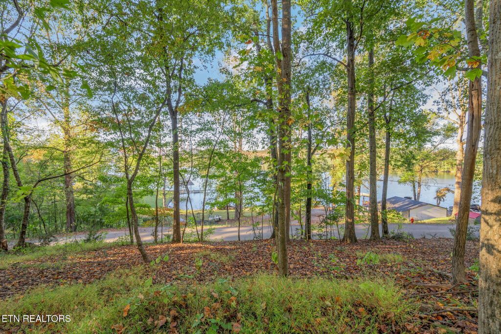 Photo of Lakewood Rd, Kingston, TN 37763 (MLS # 1319120)