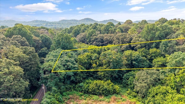 103 RANDOLPH FRIDLEY RD, SWEETWATER, TN 37874 - Image b98f0c5c0e5abf9fb1fa64dff89adbe2/4027074266