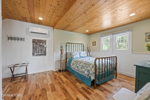 Tiny photo for 220 Very Old Barton Tr, Dandridge, TN 37725 (MLS # 1340513)