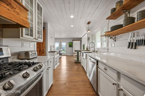 Tiny photo for 220 Very Old Barton Tr, Dandridge, TN 37725 (MLS # 1340513)