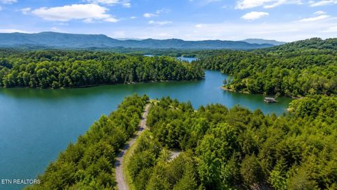 Tiny photo for 220 Very Old Barton Tr, Dandridge, TN 37725 (MLS # 1340513)