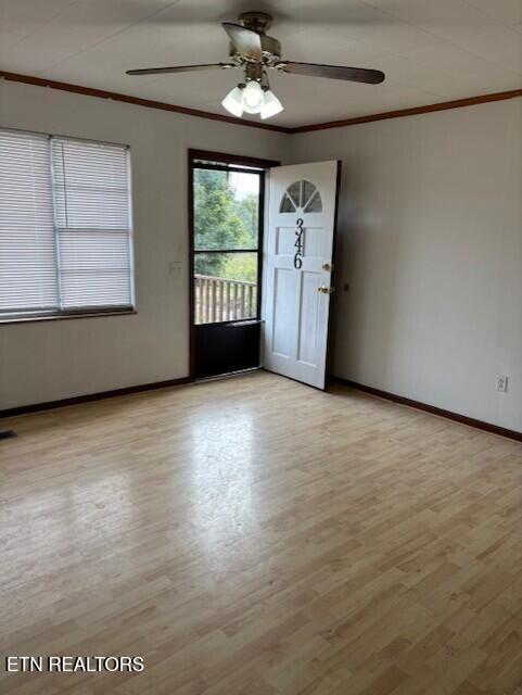 346 W Dumplin Valley Rd