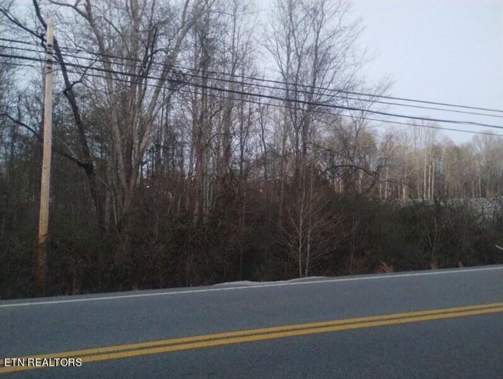 Photo of Morgan County Highway, Wartburg, TN 37887 (MLS # 1248424)