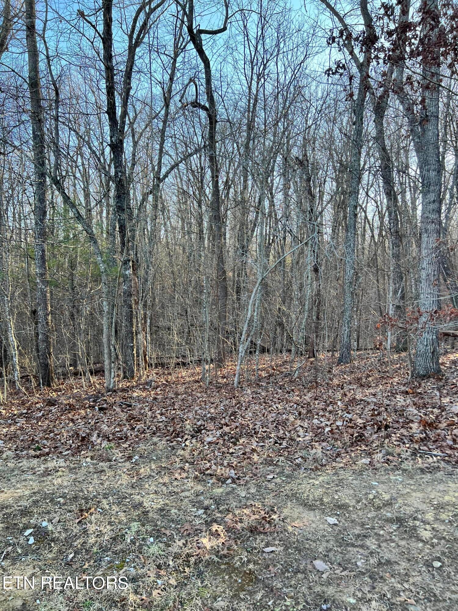 144 Folkstone Rd