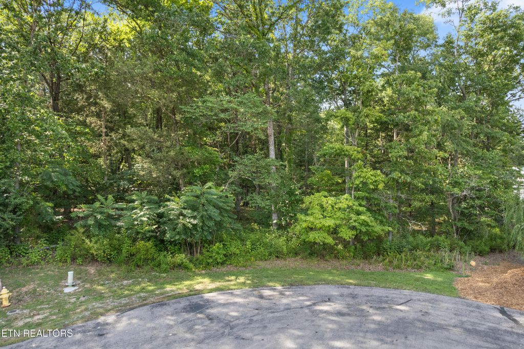 Photo of Lot 97 Bay Shore Drive, Rockwood, TN 37854 (MLS # 1309980)