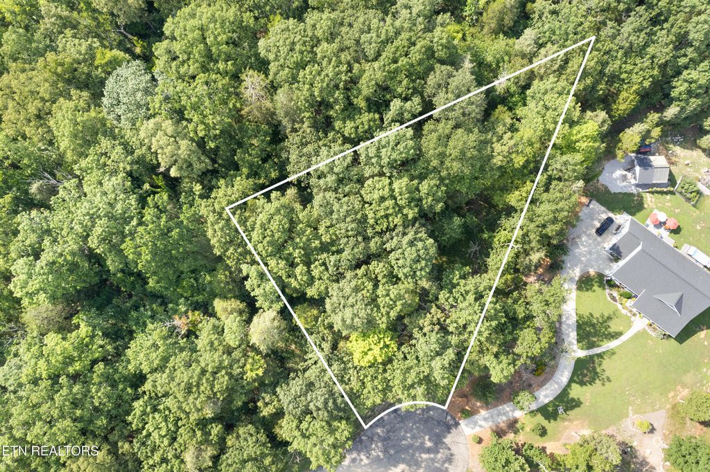 Photo of Lot 97 Bay Shore Drive, Rockwood, TN 37854 (MLS # 1309980)