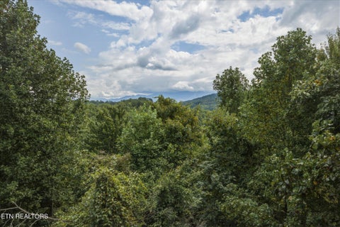 Tiny photo for 4451 Forest Vista Way, Pigeon Forge, TN 37863 (MLS # 1354942)