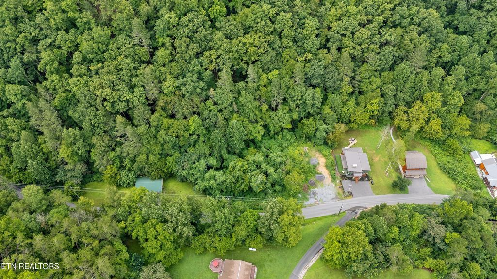 Photo of 30 Catons Chapel Rd, Sevierville, TN 37876 (MLS # 1310014)