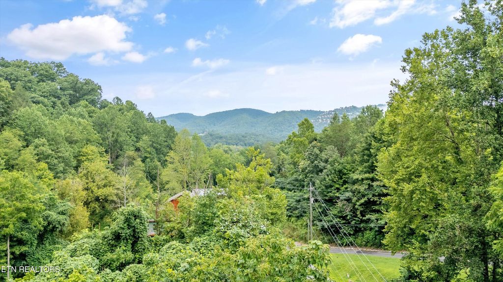 Photo of 30 Catons Chapel Rd, Sevierville, TN 37876 (MLS # 1310014)