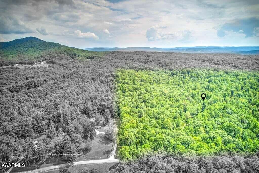 Photo of French Hamby Rd, Wartburg, TN 37887 (MLS # 1232622)