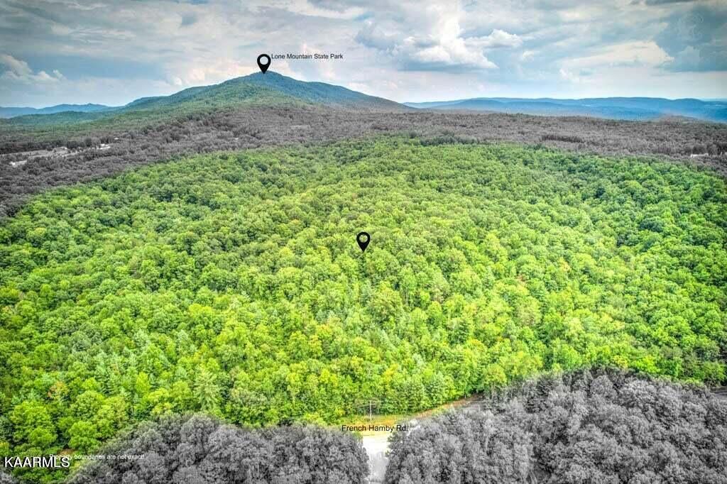 Photo of French Hamby Rd, Wartburg, TN 37887 (MLS # 1232622)