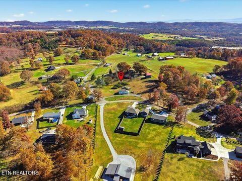 Tiny photo for 1004 Bales Rd, New Market, TN 37820 (MLS # 1325412)