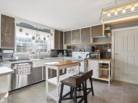 Tiny photo for 1004 Bales Rd, New Market, TN 37820 (MLS # 1325412)