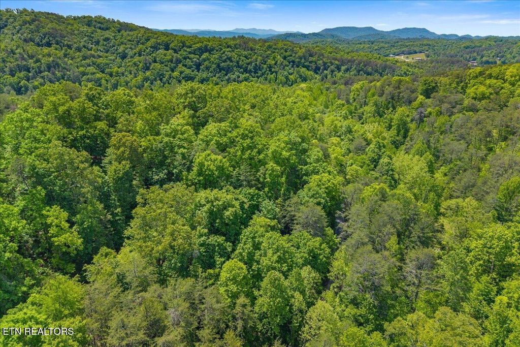 Photo of 215 Citico Rd. Lot 1 Rd, Vonore, TN 37885 (MLS # 1340052)