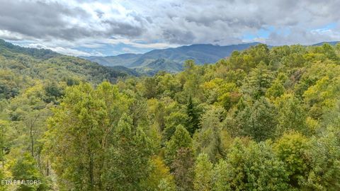 Tiny photo for 4160 Green Corner Rd, Hartford, TN 37753 (MLS # 1333019)