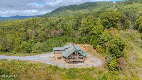 Tiny photo for 4160 Green Corner Rd, Hartford, TN 37753 (MLS # 1333019)