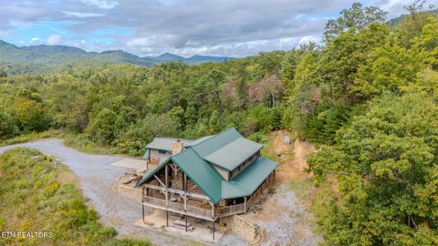 Tiny photo for 4160 Green Corner Rd, Hartford, TN 37753 (MLS # 1333019)