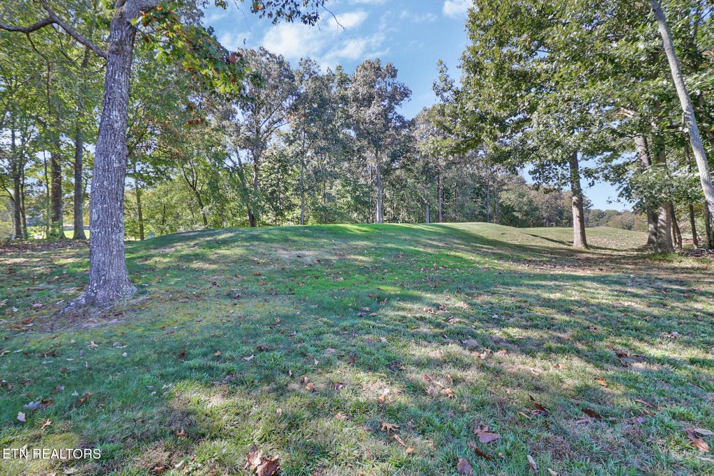 Photo of 530 Stonehenge Drive, Crossville, TN 38558 (MLS # 1359483)