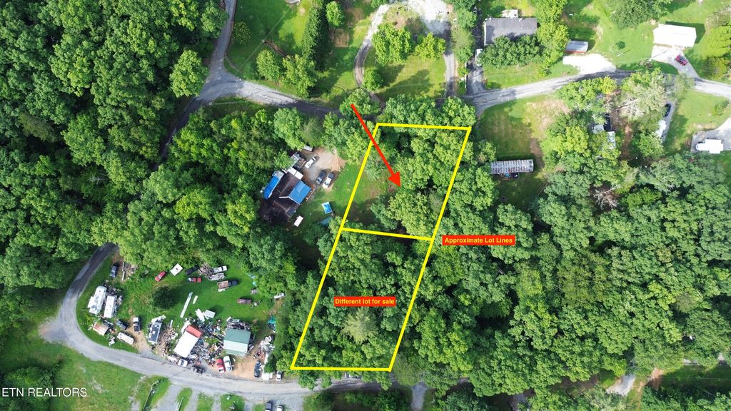 Photo of 137 Randall Fugate Rd, Spring City, TN 37381 (MLS # 1264034)