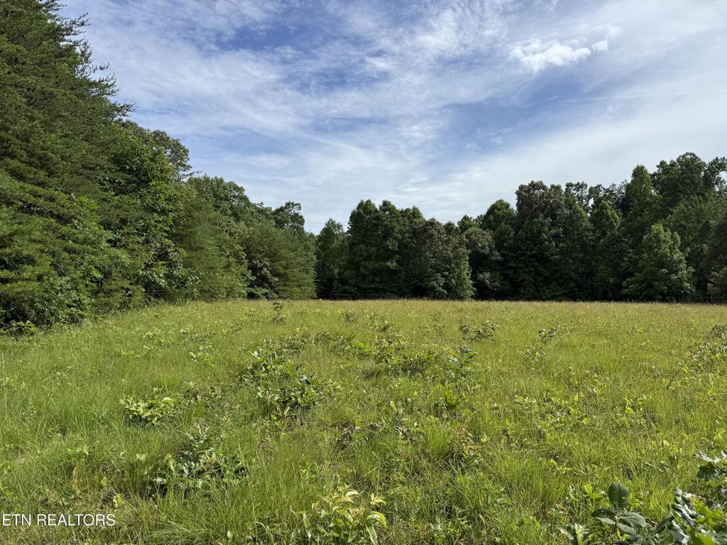 Photo of Clear Creek Rd. 41 Acres, Crossville, TN 38571 (MLS # 1345285)